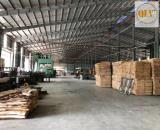 BÁN CHO / THUÊ NHÀ XƯỞNG – BẮC TÂN UYÊN, BÌNH DƯƠNG – 17.845m²