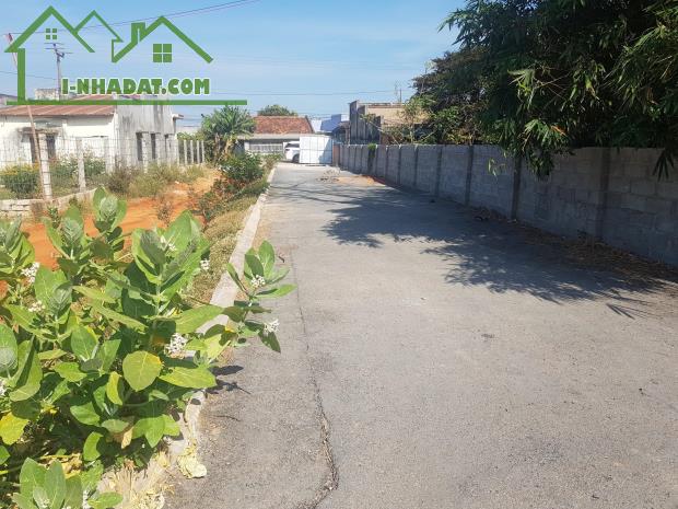 Nhiều Đất+Nhà Vườn-Mặt tiền đường Phan Huy Ích-Phường Hàm Thắng-Lâm Đồng - 3