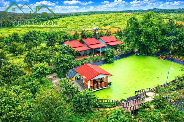 Đồng Nai bán farm rộng 2,5ha đủ tiện nghi sẵn thu nhập cách QL 20 11km giá 22,5ty