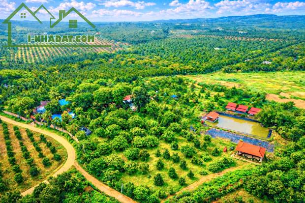 Đồng Nai bán farm rộng 2,5ha đủ tiện nghi sẵn thu nhập cách QL 20 11km giá 22,5ty - 2