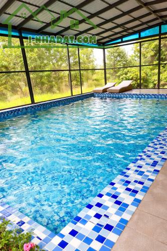 Đồng Nai bán farm rộng 2,5ha đủ tiện nghi sẵn thu nhập cách QL 20 11km giá 22,5ty - 3