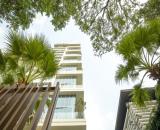 Top Penthouse đẳng cấp 482m2 Serenity Sky Villas Q3 trung tâm Sài Gòn.