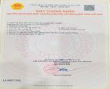 Bán đất Quyết Tiến - Nam Đồ Sơn - Hải Phòng