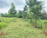 BÁN ĐẤT ĐẸP,ĐƯỜNG Ô TÔ, GẦN 1.000M² – MẶT TIỀN RỘNG 19M – GẦN CHỢ ĐẤT SÉT – GIÁ HẤP DẪN