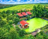 Đồng Nai bán farm rộng 2,5ha đủ tiện nghi sẵn thu nhập cách QL 20 11km giá 22,5ty