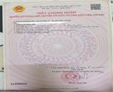 ĐẤT ĐẸP – GIÁ TỐT – CẦN BÁN ĐẤT TẠI xã Tuy Phước, huyện Tuy Phước, tỉnh Bình Định