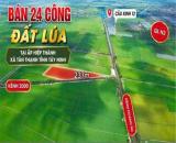 ĐẤT ĐẸP – ĐẦU TƯ SINH LỜI – CẦN BÁN 3 LÔ ĐẤT GIÁ TỐT – Ấp Hiệp Thành, Xã Tân Thạnh, Tây