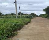 Bán đất đối diện KCN Tân An Buôn Ma Thuột-giá 1,48 tỷ