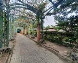 RỘNG CHÀ BÁ GIÁ CỰC BÈO GẦN TÔ NGỌC VÂN KINH DOANH NHỘN NHỊP 14000m2; 220 TỶ.
