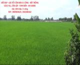 ĐẤT ĐẸP - GIÁ TỐT CẦN BÁN 51 CÔNG - ĐẤT TRỒNG LÚA 2 VỤ...TÂN LẬP - TỊNH BIÊN - AN GIANG