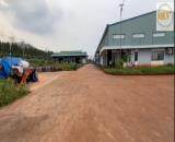 BÁN NHÀ XƯỞNG – KCN DẦU GIÂY, ĐỒNG NAI – 10.000m²