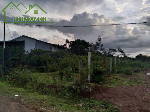 CHÍNH CHỦ CẦN BÁN ĐẤT ĐẸP - NGAY SÂN BÓNG ĐỒI THÔNG - GIÁ ĐẦU TƯ CỰC TỐT!