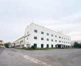 Cho Thuê Kho Xưởng KCN Quang Minh | 6.365m² - 9.000m² | Dock Container