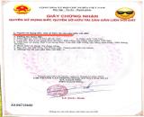 2 LÔ ĐẤT PHƯỚC HẢI MẶT TIỀN NHIỀU - XÂY BAO CỔNG RÀO ĐẸP- HỖ TRỢ VAY 3 BÊN