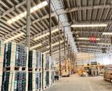 XT167 cho thuê xưởng sản xuất với chất lượng nhà xưởng kiên cố, sẵn xưởng SX liền
