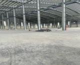 Cho Thuê Kho Bãi Cần Thơ- 15.000m2 - Tuyến tránh Thốt Nốt