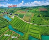 Đất nghỉ dưỡng 150m² tại Bảo Lộc – Chỉ từ 900 triệu/nền