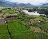 bán đất gần Hồ Cây Sung, cách Nha Trang chỉ 35p rộng gần 1,3 hecta đường betong giá rẻ