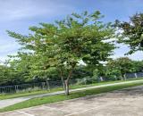*Bán đất view Hồ, đường Phạm Viết Chánh (7m5), Cẩm Lệ, dt giá 5,7 Tỷ