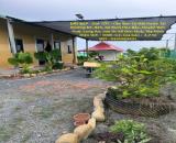 ĐẤT ĐẸP - GIÁ TỐT - Cần Bán Lô Đất Vườn Tại Đường ĐT. 823, Xã Bình Hòa Bắc, Huyện Đức