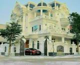 Bán nhà đẹp ở liền khu Cư Xá Tự Do CMT8, Q. Tân Bình, DT: 7x20m, 5 tầng, giá 30 tỷ.
