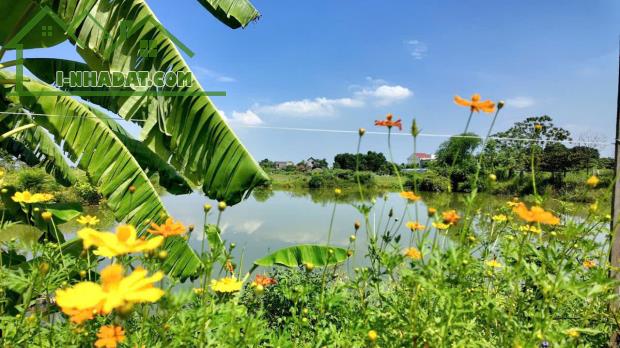 🔥 SIÊU PHẨM VIEW HỒ – CHỐT NHANH KẺO LỠ 🔥 📍 Thôn 2 – Phú Cát, Hà Nội 💎 Diện tích: 271m - 1