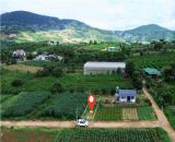 Nam Ban bán lô đất 5x26 view đồi thông cách TT Đà Lạt 28km giao thông thuận lợi giá 549tr