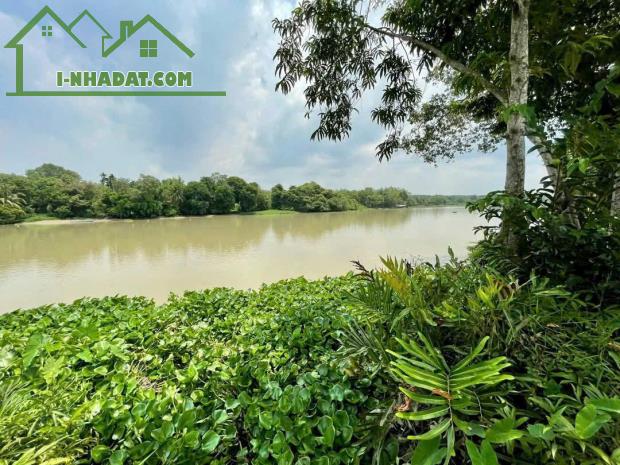Bán đất ven sông Sài Gòn xã An Phú, Củ Chi tdt 2886m2 ( 95m2 thổ) giá 5,5 tỷ - 2