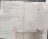 Bán bán đất mặt tiền tiềm năng  tại Xuân Thới Sơn,  huyện Hóc Môn, Hồ Chí Minh