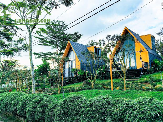 bán 200m2 nghỉ dưỡng view hồ ngay trung tâm thành phố bảo lộc giá ngộp - 3