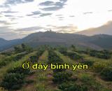 Bán đất view săn mây triệu s tại đạ 2222 knang đam Rông Lâm Đồng
