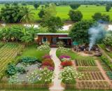 Bán Đất,230 m2 ,đường bê tông 6 m đường xe hơi ,Ngay Chợ, giá tốt