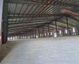 CHO THUÊ NHÀ XƯỞNG 13.000m² Tại MỸ HÀO, HƯNG YÊN – PCCC Tự Động,