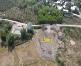 bán 1.500m2 giá chỉ 480tr đường betong vi đẹp làm nhà vườn gần ttam Khánh Vĩnh, Khánh Hòa