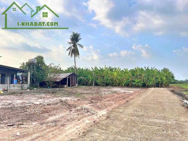 🔻250TR🔻 ĐẤT RẺ DÀNH CHO A.C CÔNG NHÂN Ở KCN PHƯỚC ĐÔNG 6 x 19M FULL THỔ - 3