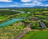 🌳 NƠI TIẾNG GIÓ CÒN ĐẸP HƠN NHỮNG ÂM THANH PHỐ THỊ