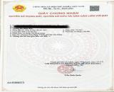 Bán 2 lô đất liền kề ngay chung cư Sunview Phường Tam Phú Thủ Đức