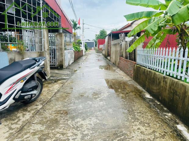 Bán đất Hợp Đức - Nam Đồ Sơn - Hải Phòng - 2