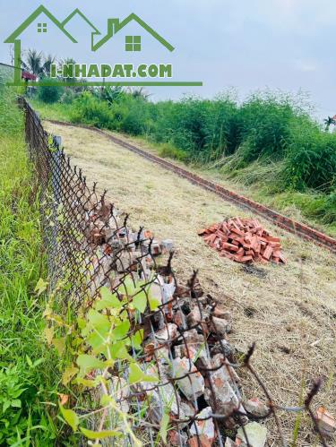 Bán đất Hợp Đức - Nam Đồ Sơn - Hải Phòng - 3