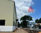 XT123 cho thuê nhà xưởng mới, khung thép lớn có sẵn cầu trục 5 tấn, PC tự động, trống