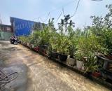 🔥 3 MẢNH ĐẤT 45M² – ĐỒNG LẬP, ĐỒNG HÒA – TỪ 1 TỶ 2 ĐẾN 1 TỶ 6 🔥  📐 Diện tích: 45m²/mảnh