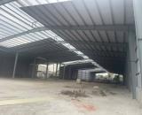 Cho thuê kho 5500m2 mới 100% đầy đủ pccc tại Thắng Lợi, Thương Tín, Hà Nội
