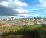 Đất đẹp cách trung tâm Đà Lạt 3km, 299m2 giá 8,3 tỷ View thoáng