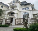 Cho thuê nhà, Chùa Bộc, Phạm Ngọc Thạch, THANG MÁY, 316m2x 4T -65 tr