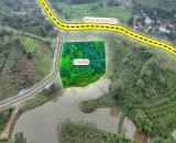🌟 THIÊN ĐƯỜNG NGHỈ DƯỠNG: 7.000m² ĐẤT BÁM HỒ – TỰA NÚI – VIEW TRIỆU ĐÔ TẠI KIM BÔI!