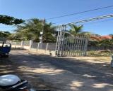 ĐẦU TƯ SINH LỜI – CHÍNH CHỦ CẦN BÁN ĐẤT Tại Thôn Tân Thành, xã Suối Hiệp, tỉnh Khánh hòa