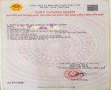 Bán đất Hữu Bằng - Kiến Thụy - Hải Phòng