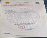 Bán đất Minh Tân - Kiến Thụy - Hải Phòng