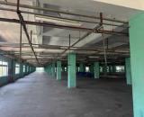 CHO THUÊ 6.900M² NHÀ XƯỞNG KHU CÔNG NGHIỆP QUẾ VÕ 1 – BẮC NINH | VỊ TRÍ ĐẮC ĐỊA