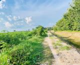 ĐẤT ĐẸP – GIÁ TỐT – CHÍNH CHỦ CẦN BÁN 3,8HA QUỸ ĐẤT VÀNG TẠI  Xã Phước Đông, Huyện Gò